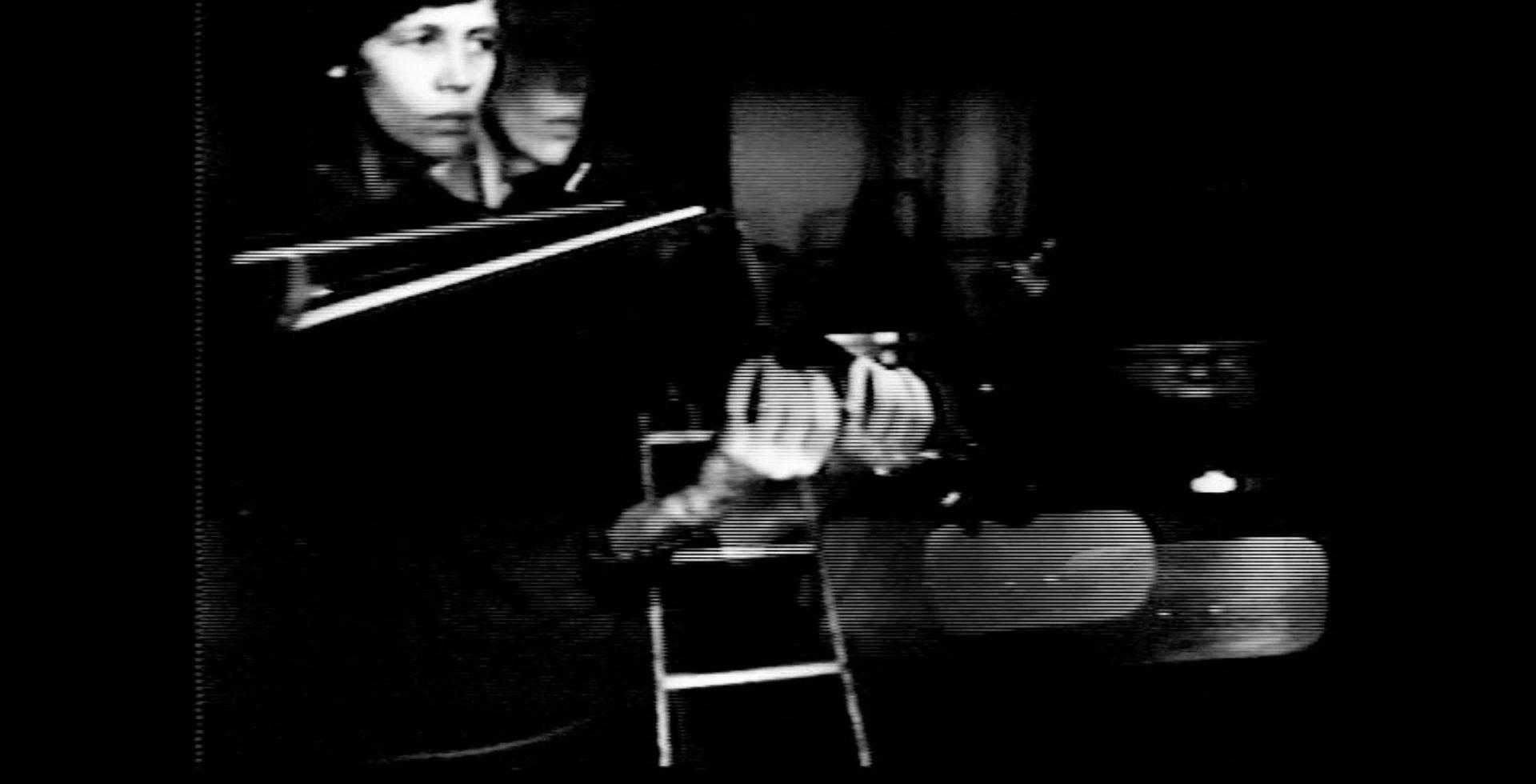 Guided tour on the final day | Steina: Playback