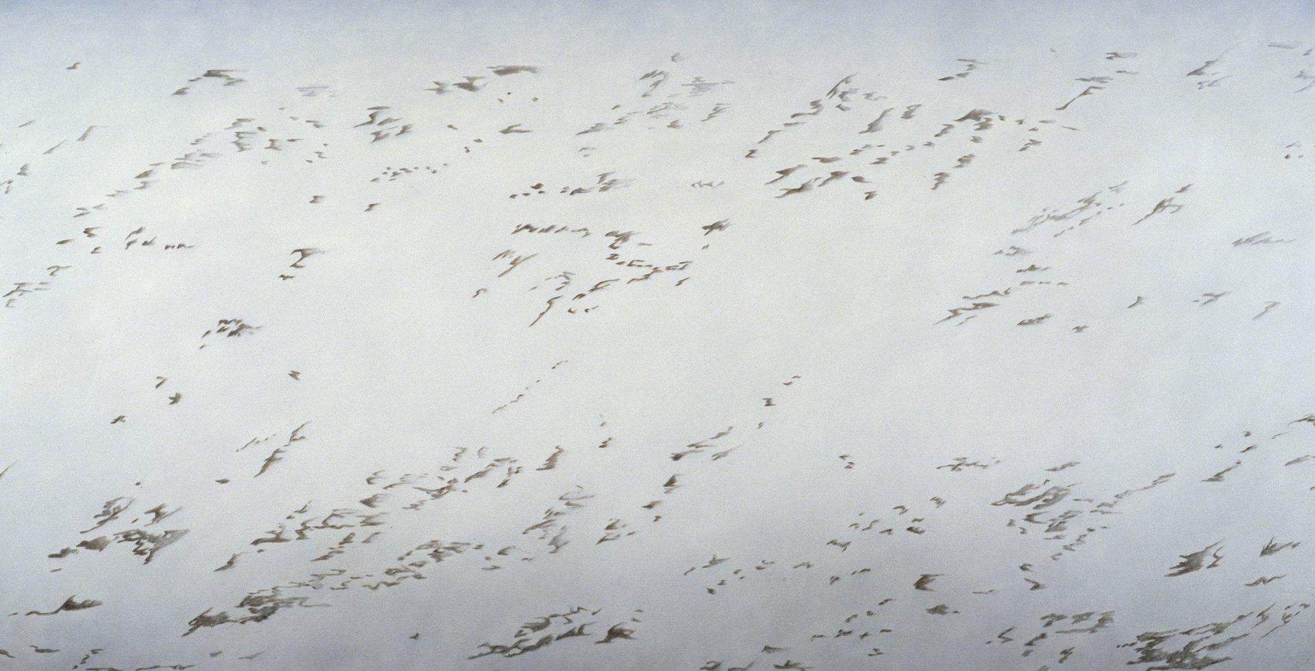 Áskortshafar | Leiðsögn um sýningu Guðrúnar Kristjánsdóttur: Leiðir