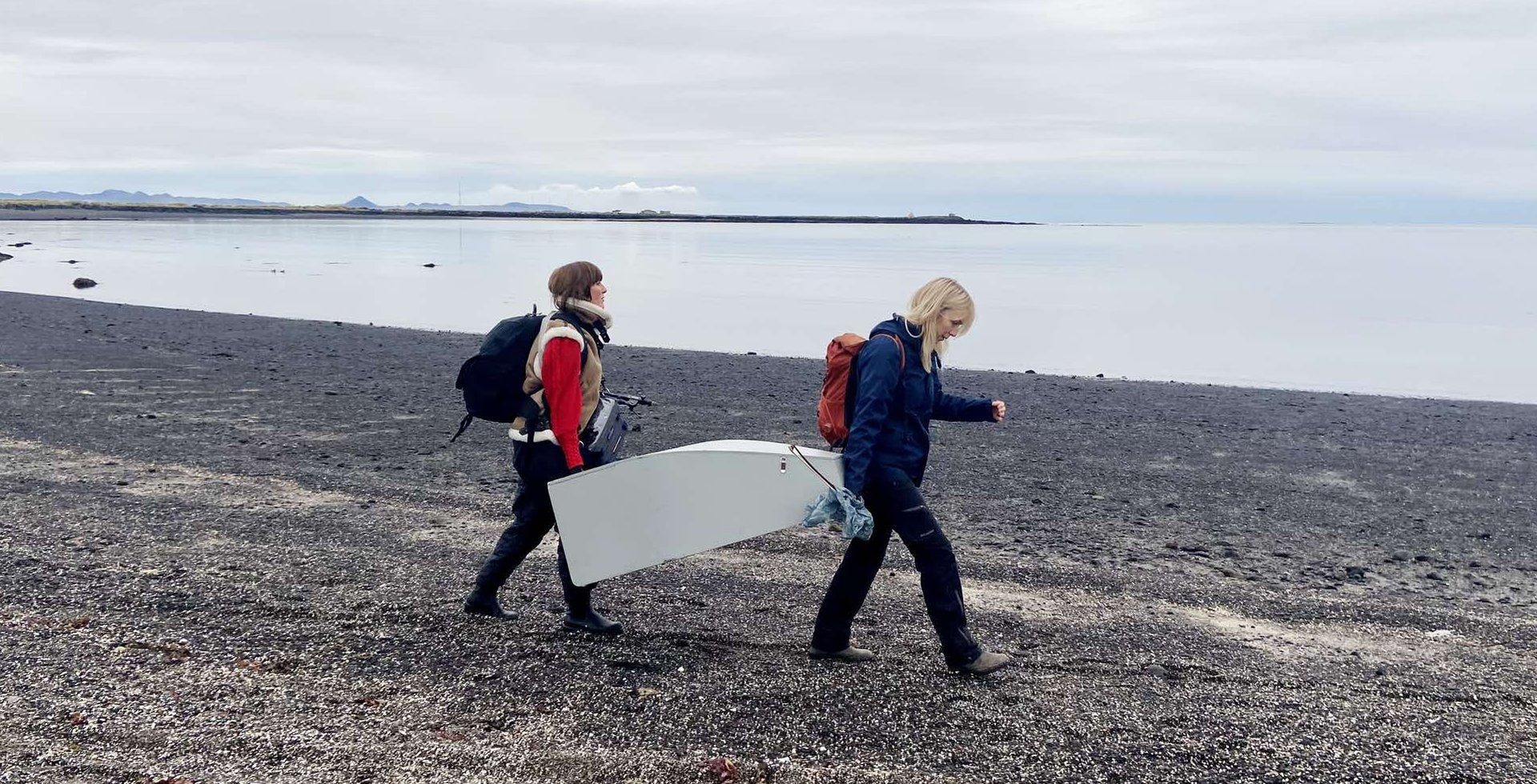 AURA III. | Concerts series on the occasion of the Steina: Playback exhibition